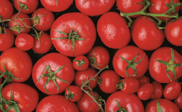 Pulpa z pomidorów krojonych w kostkę 400g