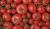 Passata pomidorowa Ital Dora 680g