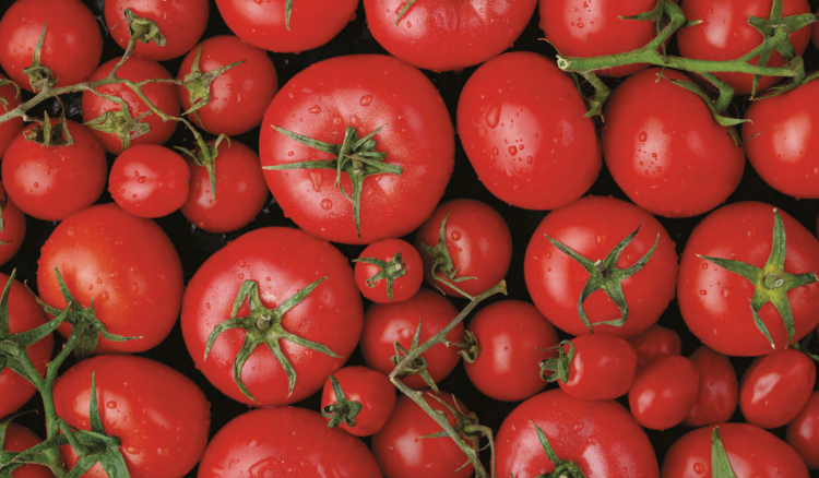 Passata pomidorowa Ital Dora 680g