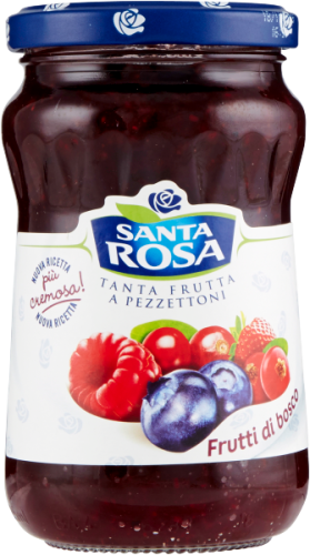 Włoska Konfitura Owoce Leśne SANTA ROSA 350g
8000810101982