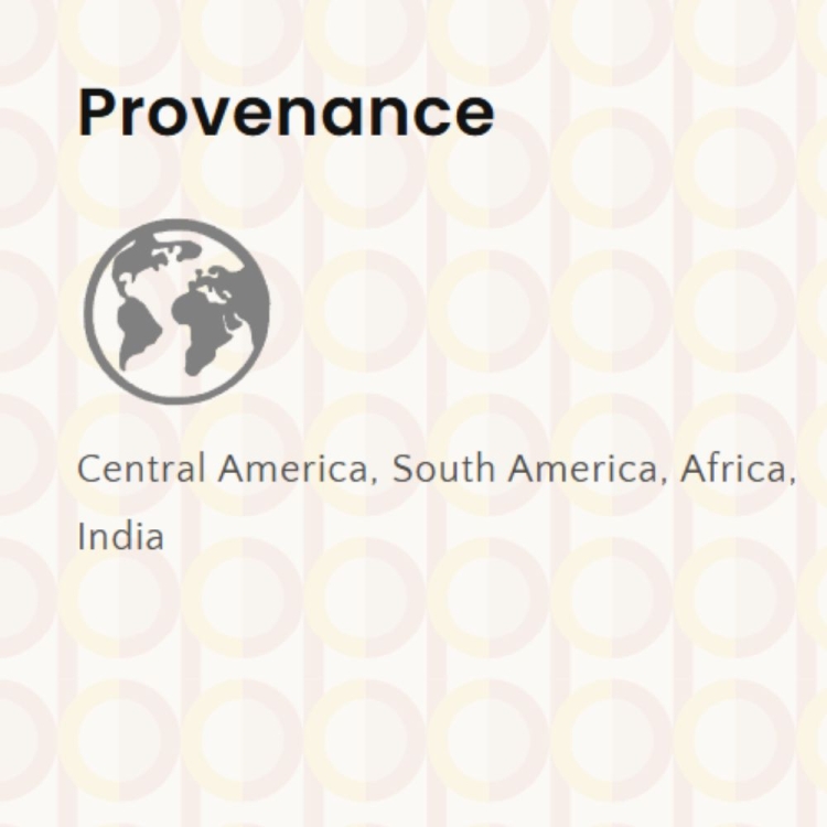 Kawa ziarnista Dolce Parana 1kg