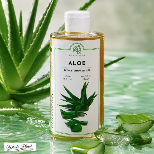 Żel pod prysznic Aloes Bath & Shower Gel Aloe Alchimia 500ml