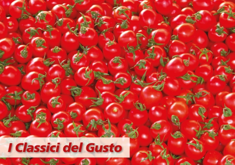 Pomidory Koktajlowe ITAL DORA