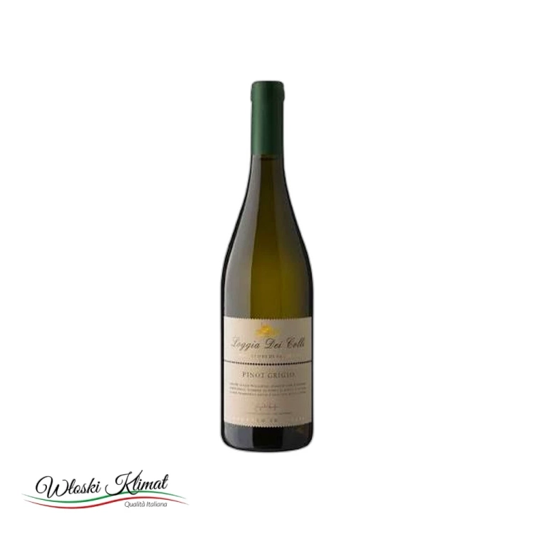 Wino wytrawne białe Pinot Grigio Loggia Dei Colli 750ml widok 1