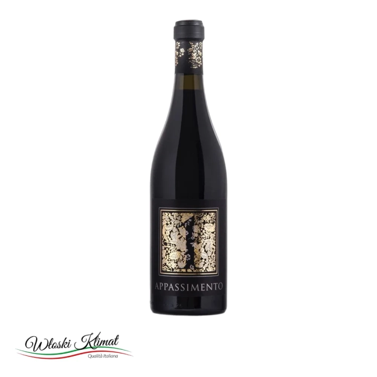 Wino czerwone Appassimento IGP Puglia Tagaro 750ml - widok z przodu / opakowanie
