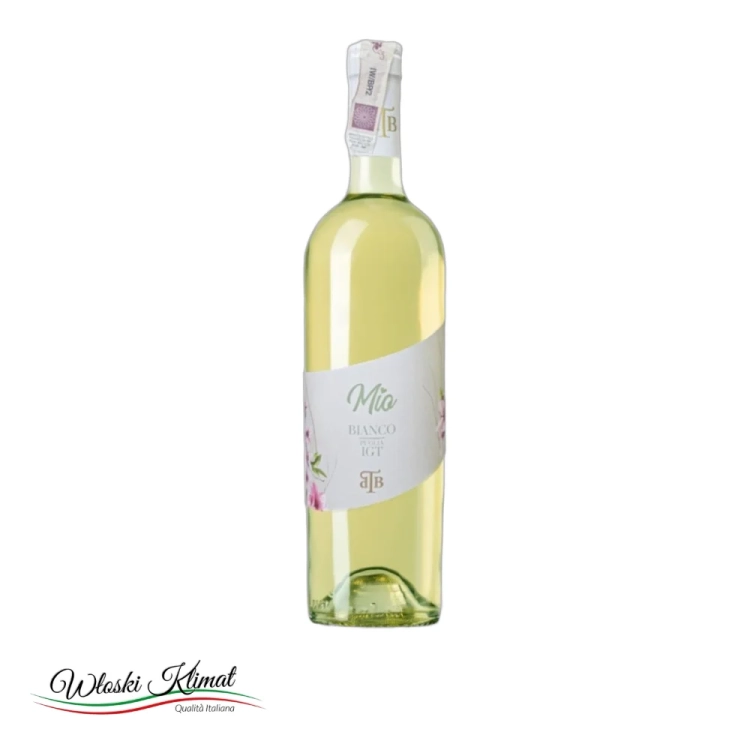 Wino wytrawne białe MIO BIANCO IGT PUGLIA 750ML - widok z przodu / opakowanie